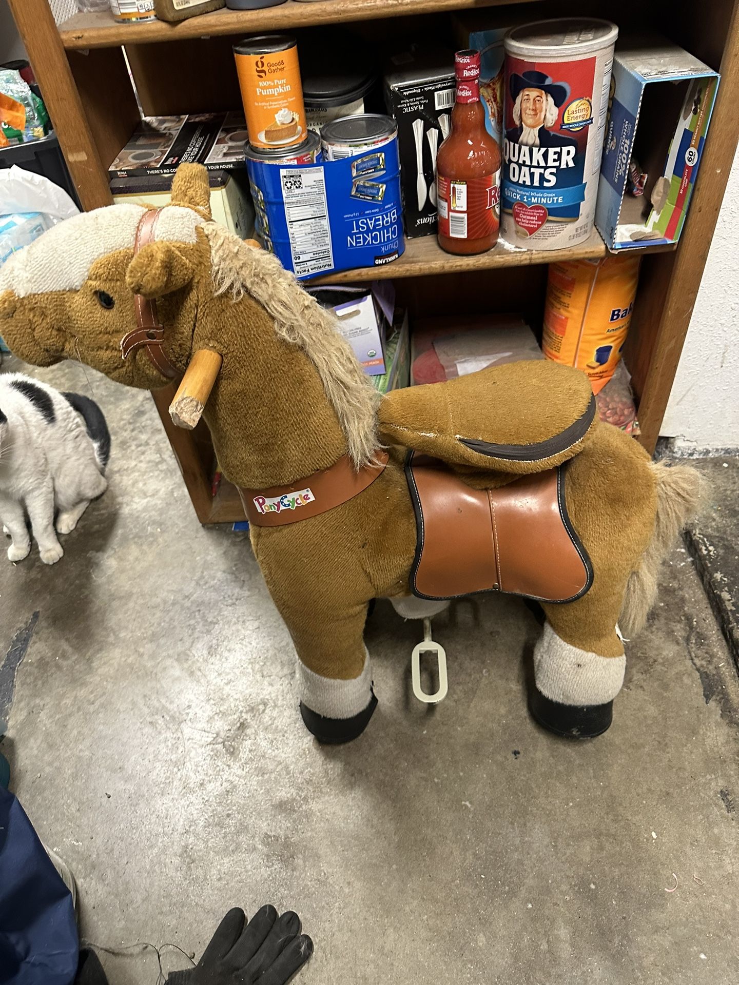 Pony Cycle