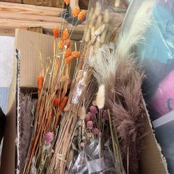 Dried Flowers