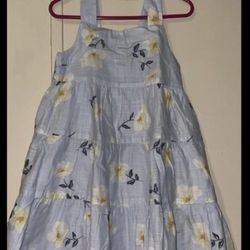 Joie Toddler Girl Dress Size 4t