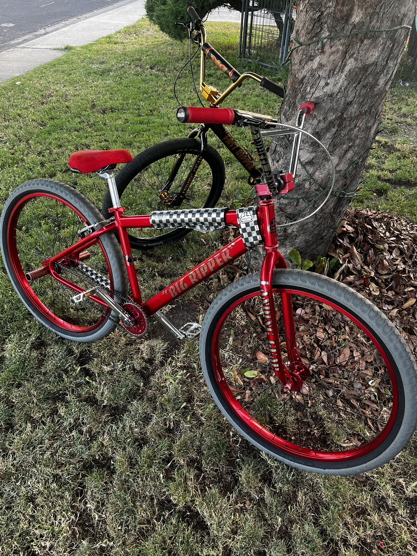 Fast Ripper And Red Ano Big Ripper for Sale in Stockton, CA OfferUp