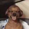 Oscar 
