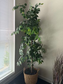 Two flowers and one tree