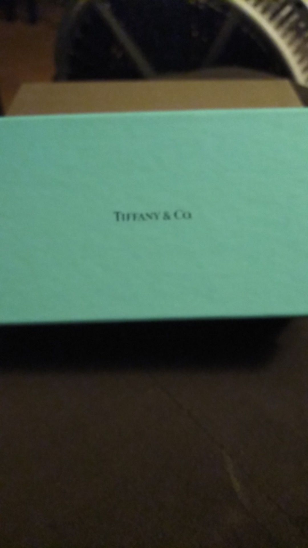 Authentic NEW Tiffany & Co. eyeglasses case