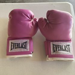 Medium Everlast Boxing Gloves