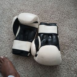 Boxing  Gloves