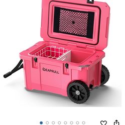 Cooler Ice Chest