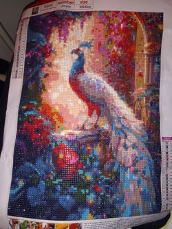 Peacock Diamond Painting Finished