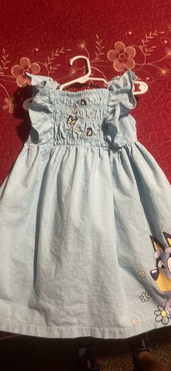 Girls bluey dress