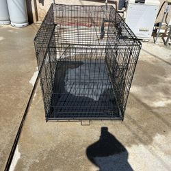 Dog kennel 
