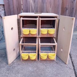 Handmade 4-Unit Canary Training Box 