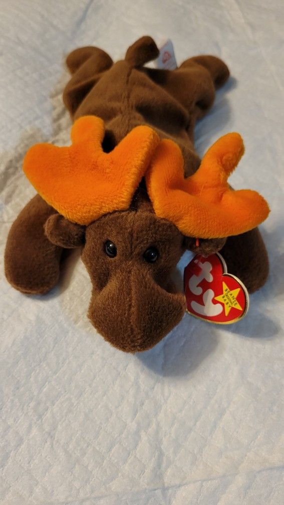 Ty Chocolate the Moose Beanie Baby
