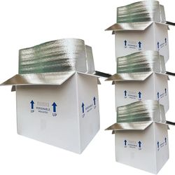 Insulated Shipping Boxes, 6 pack, size 19x12x16'' with Bag Liners, Styrofoam Cold Mailer, Foam Cooler Containers, NEW 

