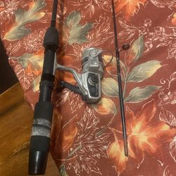 Fishing Pole Light Action 5’6”