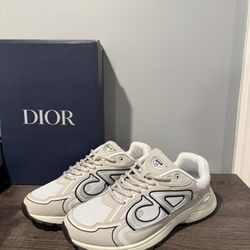 Dior B30 Grey/mint