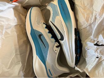 Nike Air Zoom Pegasus 41 – Men’s Size 10
