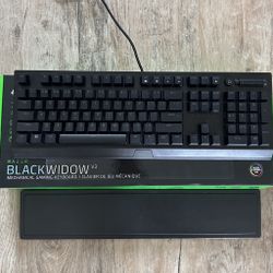Razer Blackwidow V3 