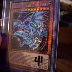 Heart Of The Blue Eyes 