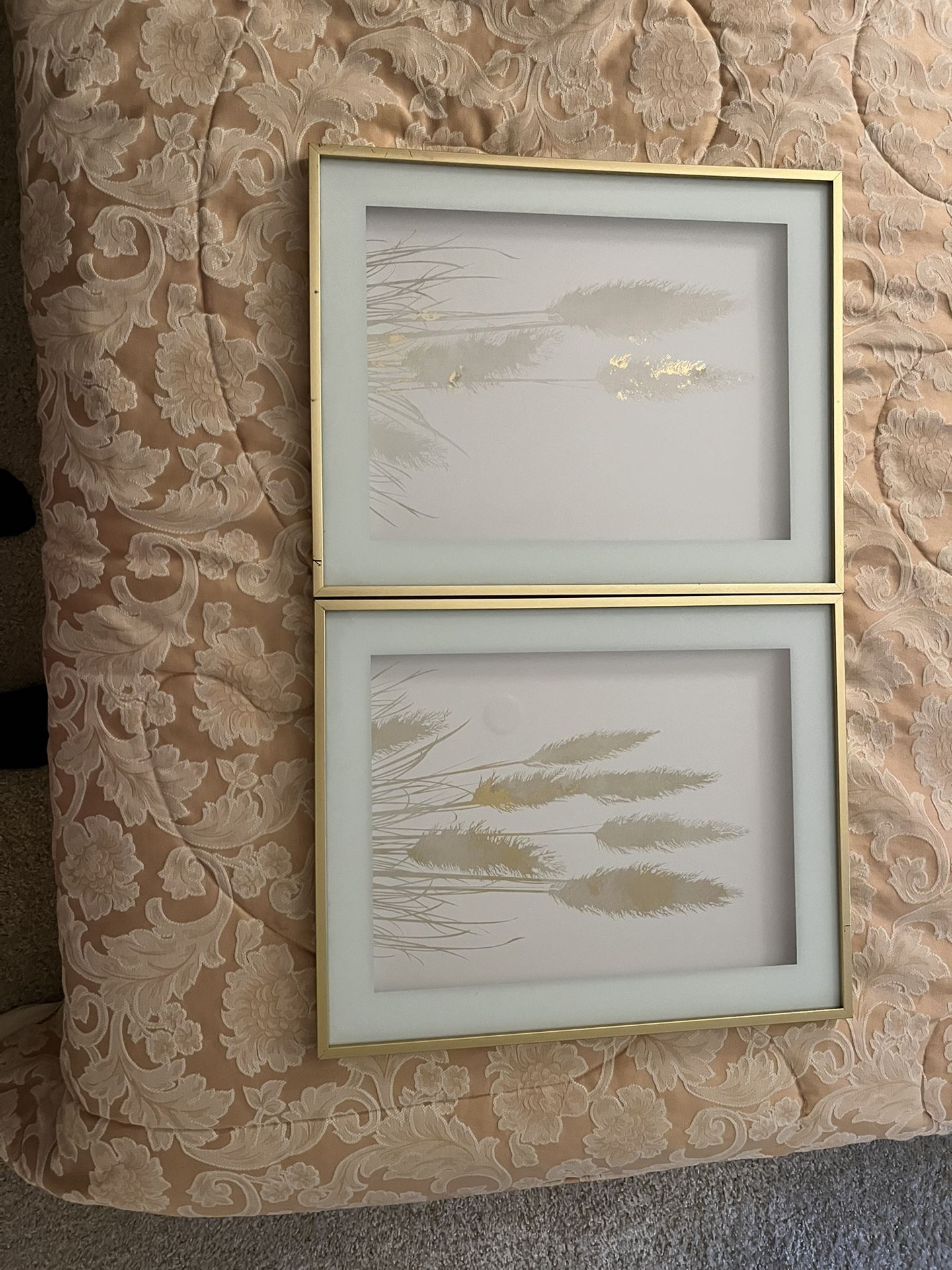 2 Nice Clean Pictures