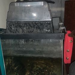 Wide 40 Gal Tank W 2 Yellow Bellie Sliders. Can Take The Topper Too! 