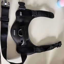 Pawshoppie XL Dog Hardness