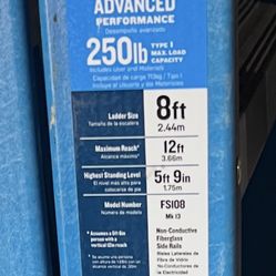 8 Foot Ladder