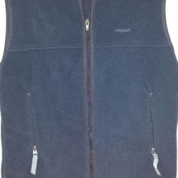 Patagonia Synchilla Vest