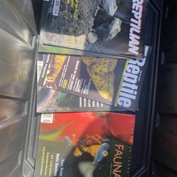 Reptiles, Animals, Books, Magazines, And Posters