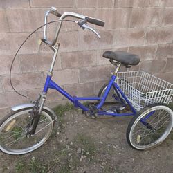 Blue Tricycle 