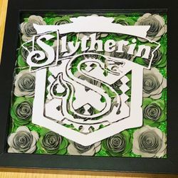 Slytherin Shadow Box 