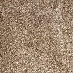  Carpet 8x10! Great Shape! 
