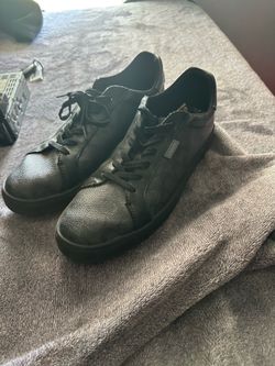 Coach shoes