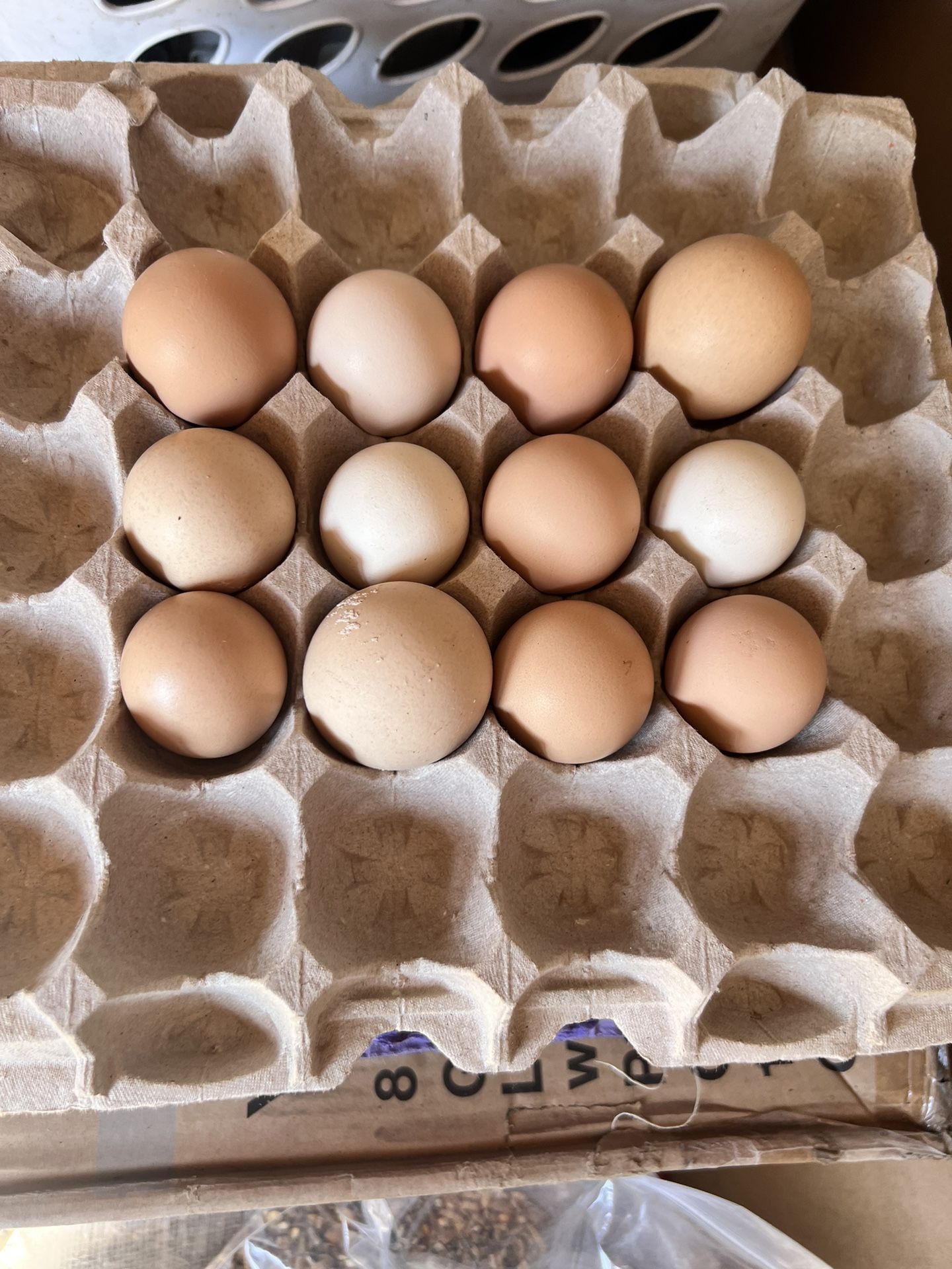 Eggs