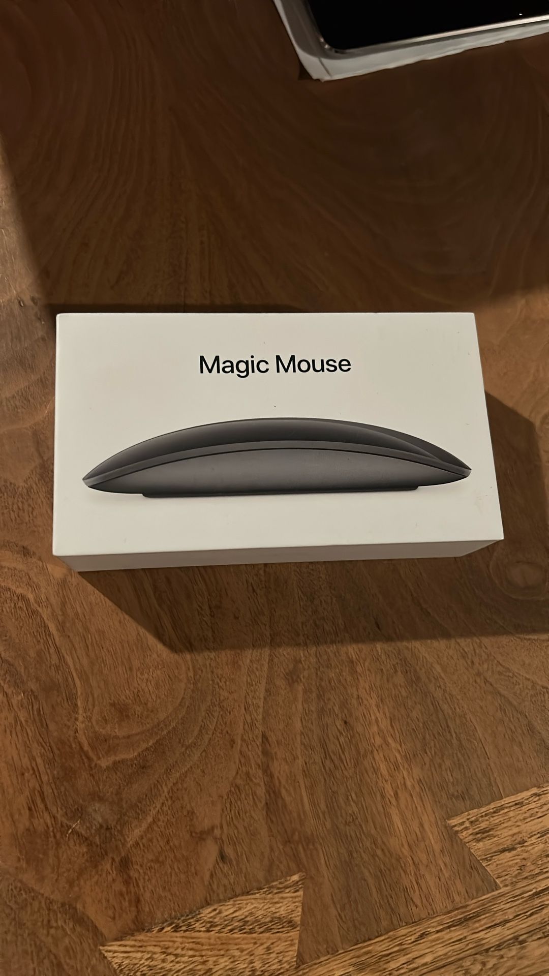 Magic Mouse 2