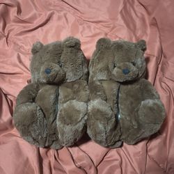 Teddy Bear Slides 