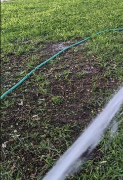 Top Dressing Delivery Feed Your Lawn