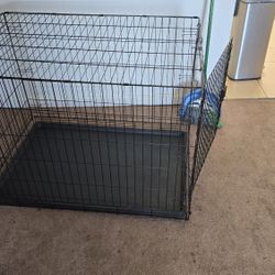 Dog Crate