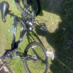 Mountain Bike