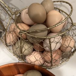 Fresh Eggs 