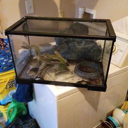Reptile Tank