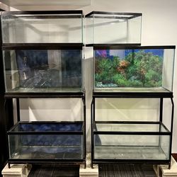 Lot Of Aquariums Fish Tanks, Stands, Lights, Filters, Etc