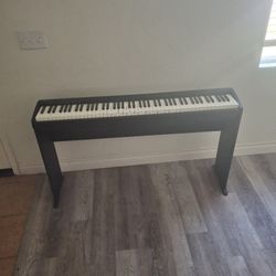 Professional Keyboard 