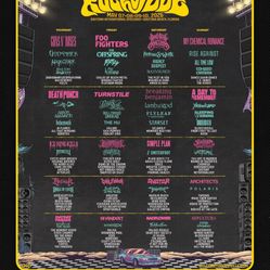 4 Day Rockville GA Ticket and Parking pass