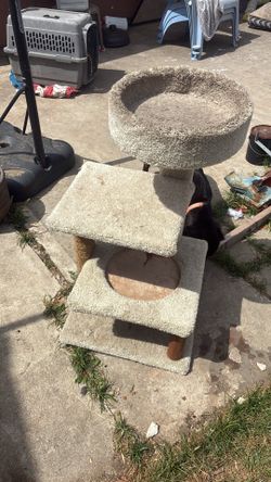 Cat Tower