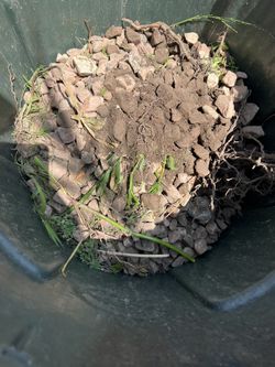 Free Garden Rock