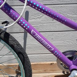 Girls Guardian Bike
