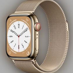 Apple 8 SERIES 45mm Stainsteel