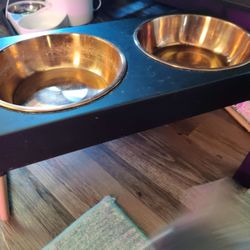 Raised Copper Dog Bowls