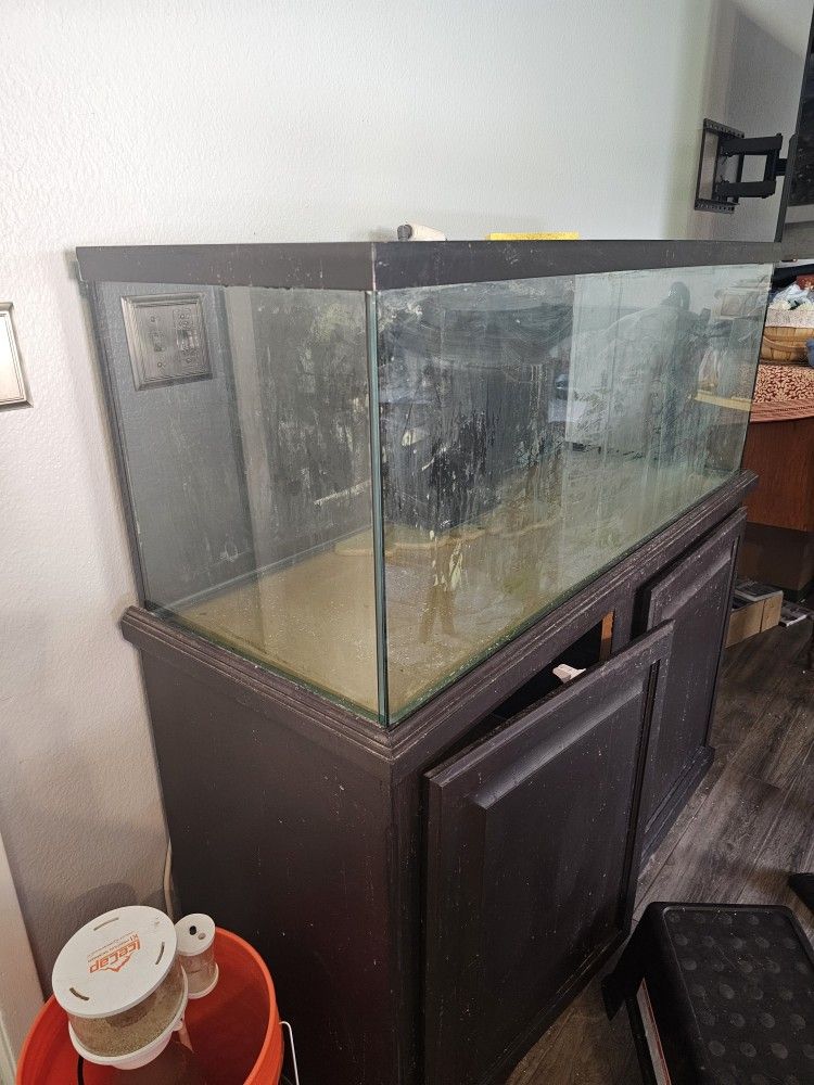 Salt Water Fish Tank