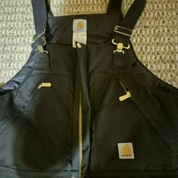 Carharrt Overalls Rated 4 Arctic New W/tags