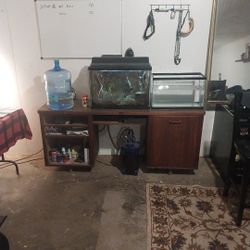 Free. Two Fish. 20 Gal Tank